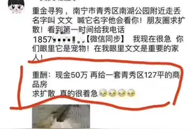 广西有人重金寻狗？现金50万+南宁一套127㎡商品房…你信吗？图片