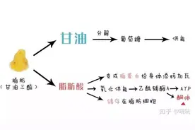 一个月能减肥瘦15 斤吗？图片