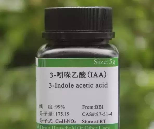 生物刺激素是激素吗？二者有什么区别呢？