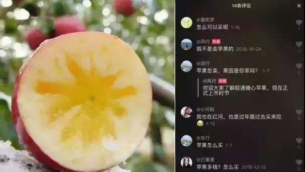 企业如何利用抖音做营销?