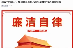 刀刃向内！3000亿国货巨头安踏铁腕反腐：重要部门副总监索贿、营私舞弊，已被警方刑拘图片