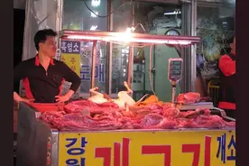 世界最主要的狗肉市场，每年吃掉200万只狗，韩国人究竟怎么了？图片