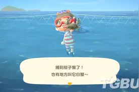 周末玩什么：去动森里潜水，收集多样的海洋生物吧图片