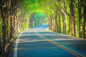 自驾溧阳“一号公路”必看攻略图片