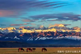 2021年在石河子这些地方度过清凉一夏！图片
