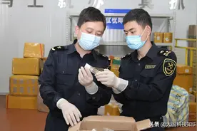 来自美国的奇怪包裹被查获，含7000多只黑腹果蝇！暗藏什么危机图片