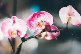 男人是“穷命”还是“富命”，全在口头禅里图片