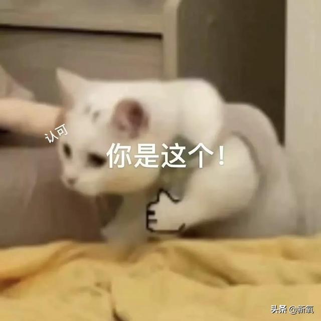 为什么泫雅的身材从来没有崩过？
