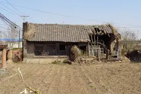 地名档案 | 苏家屯区陈相街道桃木屯村·老宅与青年点图片