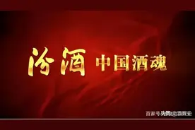 邹文武：站在中国酒魂十周年看十四五汾酒500亿图片
