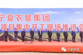 宁夏农垦集团举办2021年重点项目集中开工现场推进会图片