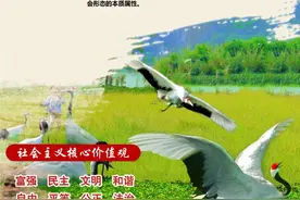 【社会主义核心价值观阐释】自由：社会主义的价值理想图片