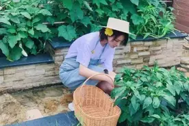 张馨予回何捷老家过节，大碗喝当地特色茶，碗破口不扔超会过日子图片