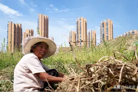 许多农村人进城，农村是不是就没有希望了？图片