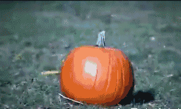 安全气囊到底是救人还是伤人，为什么那么多人被安全气囊打伤