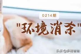 蚊香导致猫中毒？养猫养狗家庭如何做环境消杀图片