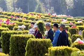 农村俗语：“坟无头，子孙穷；狐守坟，富三辈”，有道理么？图片