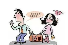 株洲小伙给前女友买车花了13万多元，分手后想要回钱被拒…图片