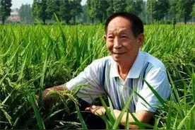 袁隆平70岁才拥有驾照，上面7个大字彰显贡献，看到让人肃然起敬图片