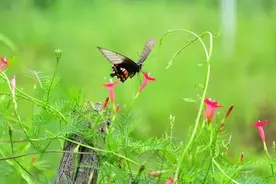 又一个寂寞孤独的夜，我只能缩在角落里想你图片