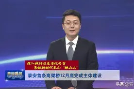 视频丨泰安首条高架桥12月底完成主体建设图片