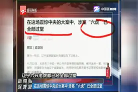 在这场震惊中央的大案中，涉案“六虎”已全部过堂视频封面