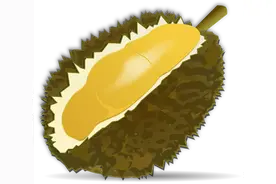 吃榴莲带壳，剽悍的大象不需要解释图片