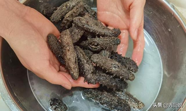 海参泡发方法最全面的图文教程，做法和要点详解，新手一次就成功
