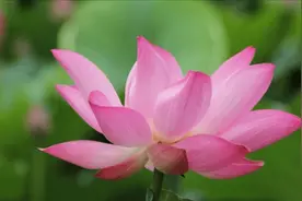 分手后，重新“追回”前任的3大星座，舍不得放开图片