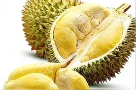 垃圾分类 | 榴莲壳是属于什么垃圾分类的？ 榴莲壳怎么处理？图片