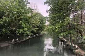 沙河：藏在成都三环内的“世界级河流”，环境好美！图片
