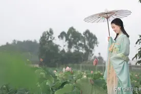 豆蔻年华是指多少岁？15岁、16岁、20岁的女子又有什么雅称呢？图片