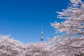 2021年亚洲城市百强榜发布，东京第一，上海第三，长沙排名第几？图片