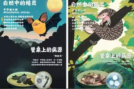 留英女生自述回国经历：辗转20多小时不吃不喝，抵达后发自内心想说图片