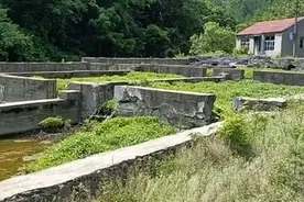 300斤！辽宁一山沟里养出“老鱼王”，体型大到快游不动了图片