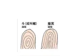 一斗穷二斗富？你手上有几个斗？图片