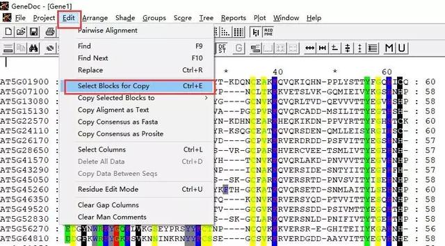 GeneDoc绘制漂亮的多重序列比对图