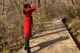 不用去加拿大，本溪关门山红枫叶，它红过二月花。图片