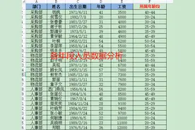 5分钟帮老板统计公司各年龄段人员数据图片
