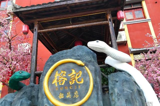鳄鱼炖花胶功效与作用 2026年鳄鱼炖花胶功效与作用