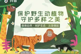抖音加入打击网络野生动植物非法贸易全球互联网企业联盟图片