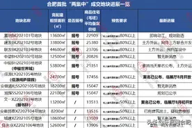 最快1周就动工！9盘欲“抢跑”，合肥首批集中拍地下的众生相图片