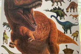 一本书了解恐龙的前世今生，让孩子从恐龙开始走近科学理解地球图片