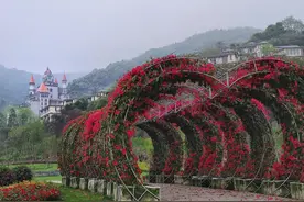 中梁山上那个废弃城堡外建公园了也，人少景美。图片
