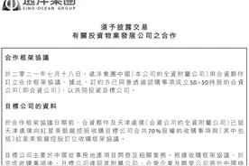 40亿！远洋收购红星70%股权，包含91个项目图片