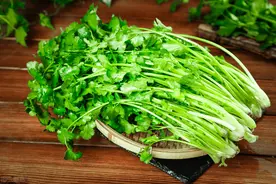 香菜跌26%，甘蓝低至3毛，土豆2毛没人收，大蒜涨破2元，农民咋办图片