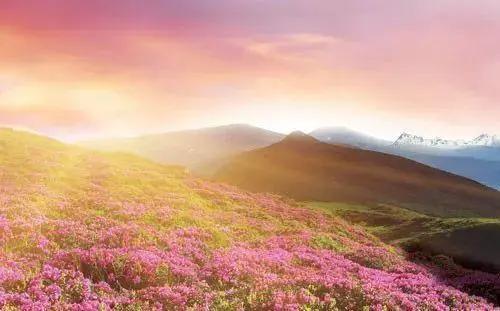 全部的成语！收藏起来，回家教给孩子