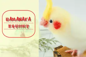 HAMANAKA羊毛毡材料包｜玄风鹦鹉DIY教程图片