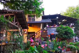 吃货游武汉，打卡江夏生态乡村一座农家餐厅，环境优雅野菜吸引人图片