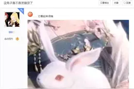 剑网三中秋盒子兔子货不对板引起疑惑，玩家：是不是发错货了图片